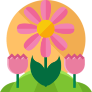 springs0728
